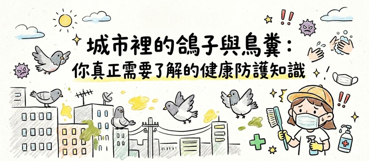 城市裡的鴿子與鳥糞：鳥糞會傳染疾病嗎？你真正需要了解的健康防護與清潔知識