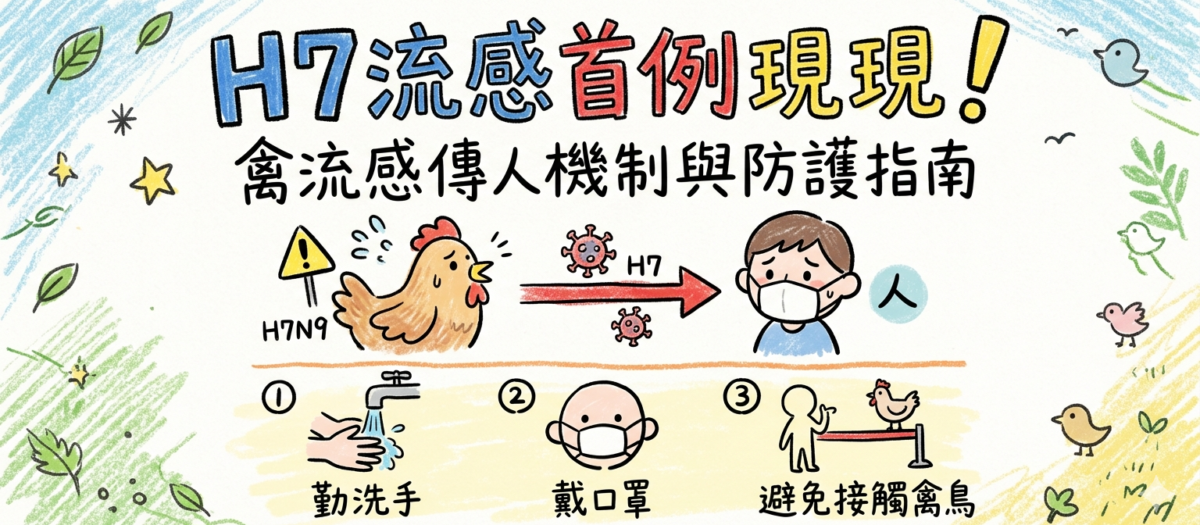H7流感首例現身！禽流感傳人機制與防護指南