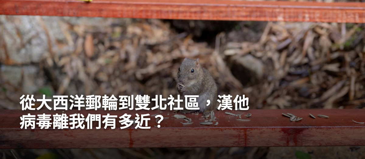 從大西洋郵輪到雙北社區，漢他病毒離我們有多近？漢他病毒離你有多近？