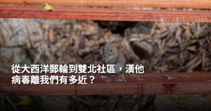 從大西洋郵輪到雙北社區，漢他病毒離我們有多近？漢他病毒離你有多近？