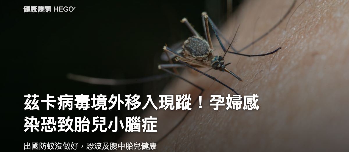 茲卡病毒境外移入現蹤！孕婦感染恐致胎兒小腦症