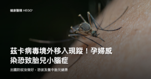 茲卡病毒境外移入現蹤！孕婦感染恐致胎兒小腦症 示意圖